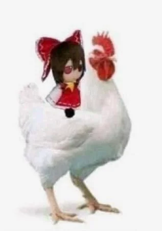 //i.fii.moe/1TU4kEzZSi8ceD.webp