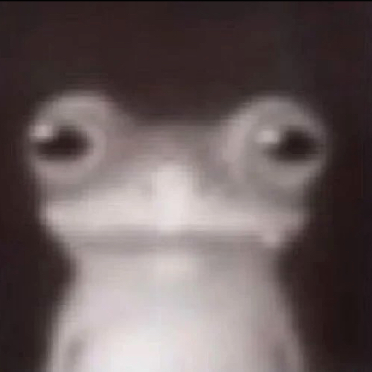 //i.fii.moe/1UtT0LnZxlR7Op.PNG