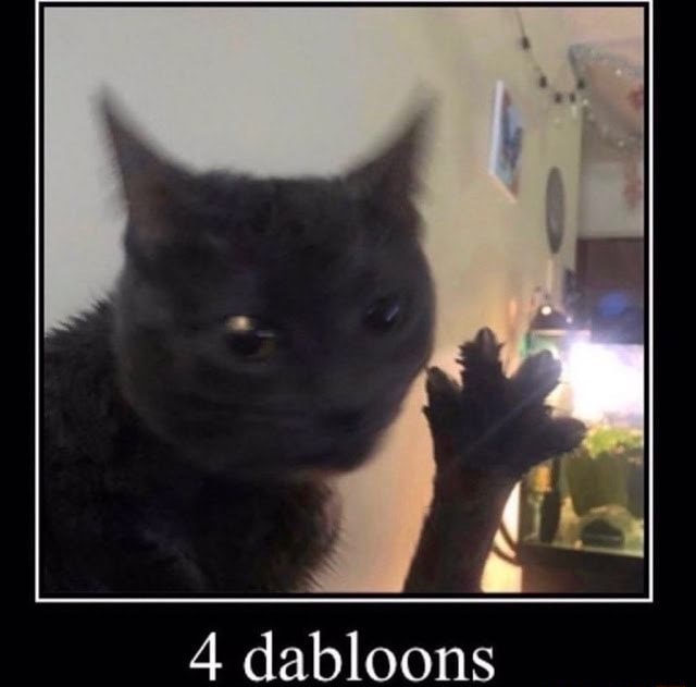 //i.fii.moe/1VbmStPABX9RhY.jpg