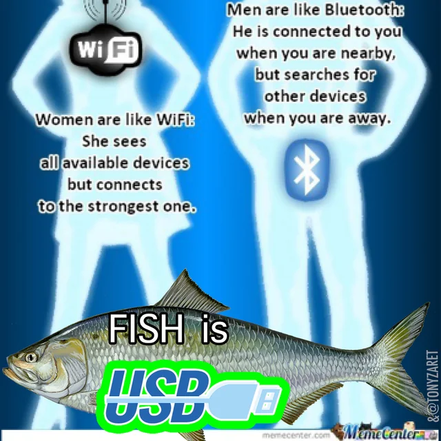 //i.fii.moe/1VdsLtdFf3cNon.webp