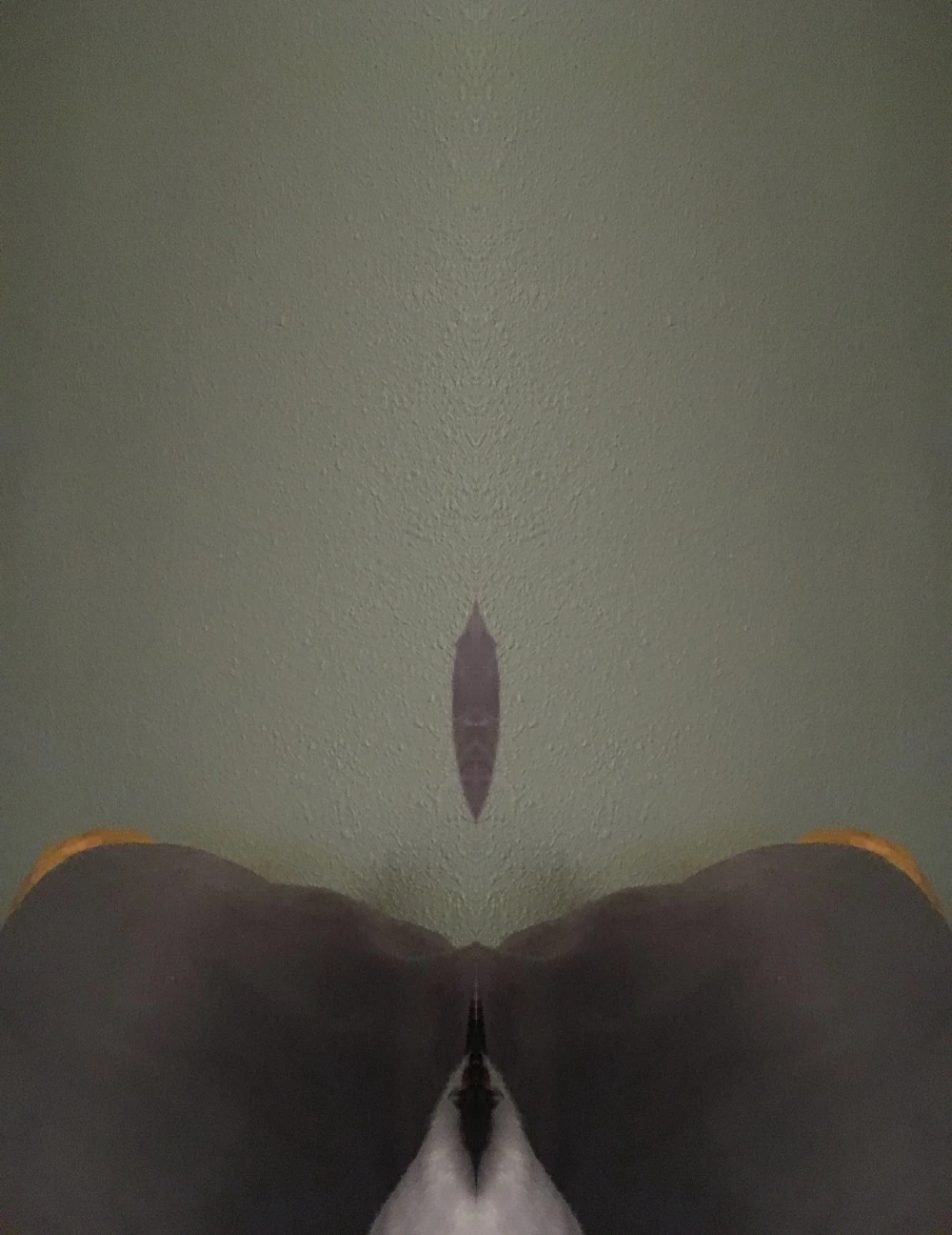 //i.fii.moe/1Vn7WgS0W2LT1Q.png
