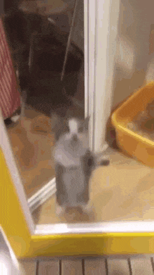 //i.fii.moe/241uEi8m0LiAif.gif