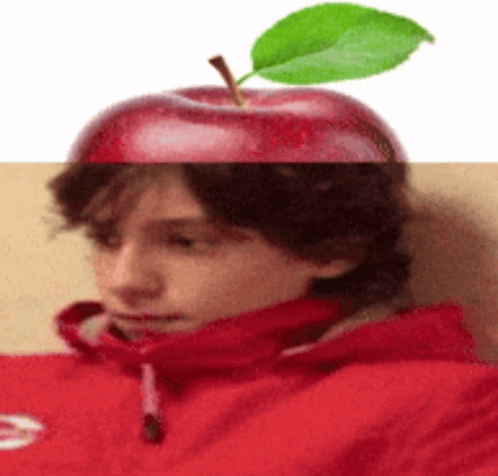 //i.fii.moe/26vqaOctBOqAHH.png