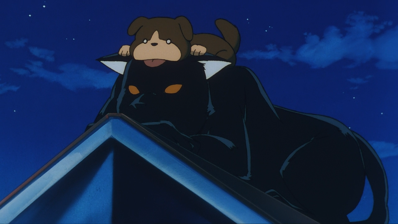 //i.fii.moe/rqeRGkto8F2uHnFQWyO8F25i7GTj3Qzt