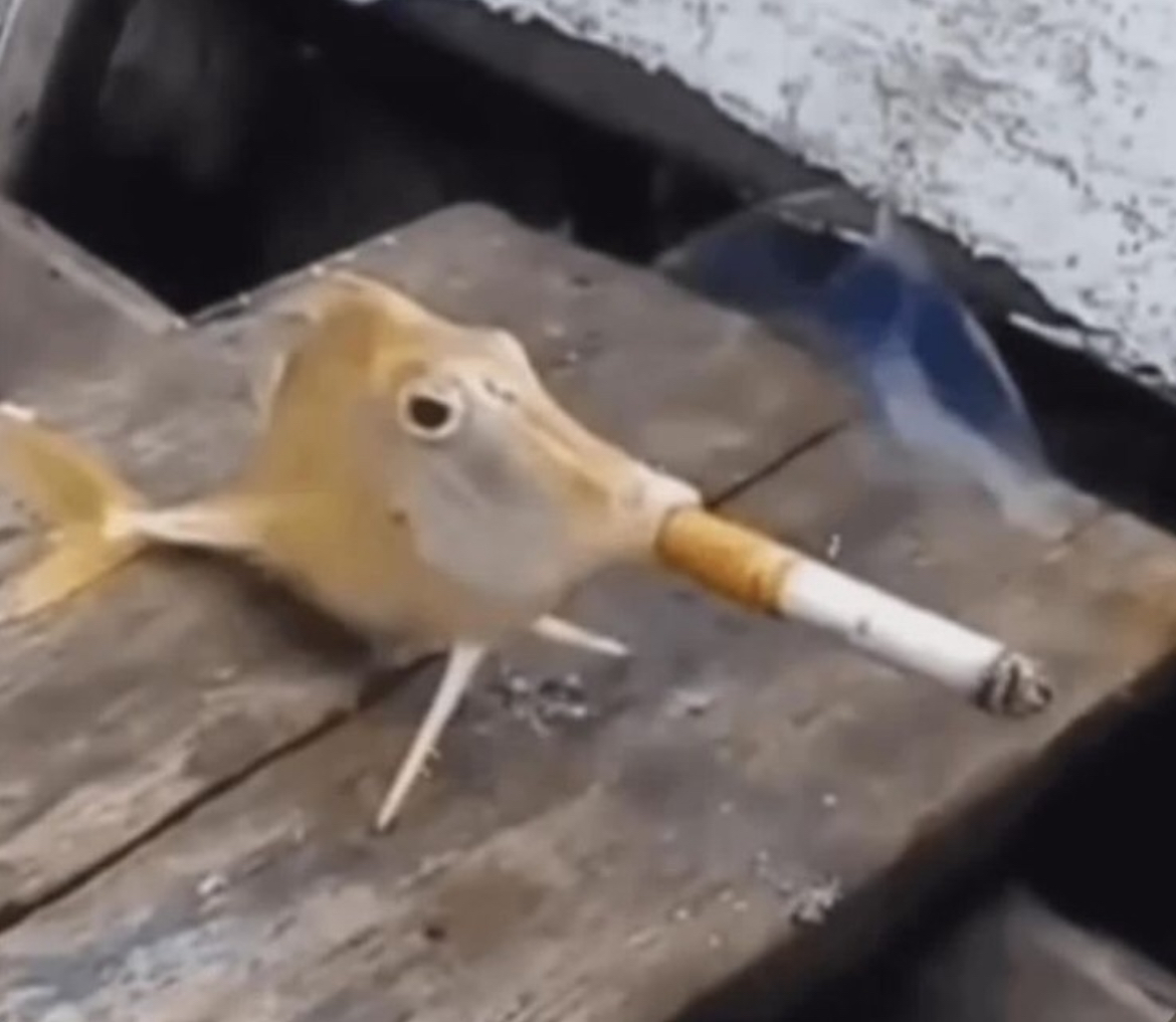 https://i.fii.moe/v03kMX01kRMXwOZpy6pE58BGtYULyGHP